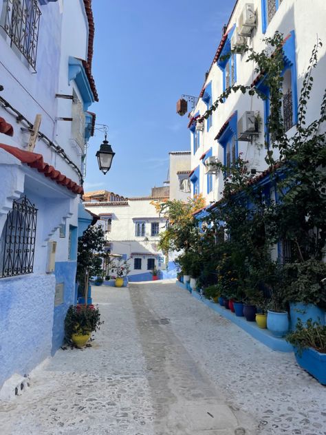 Chefchaouen Morocco Aesthetic, Morocco Chefchaouen, Morocco Aesthetic, Chefchaouen Morocco, Strait Of Gibraltar, Moroccan Aesthetic, Aesthetic Plants, Moroccan Inspiration, Travel Spots