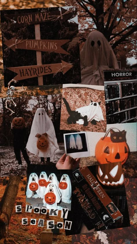 Halloween Fall Wallpaper Iphone, Cottage Core Halloween Aesthetic, Halloween Aethstetic, Halloween Core Wallpaper, Spooky Autumn Wallpaper, Halloween Atheistic, Autumn Halloween Aesthetic, Aesthetic Halloween Pics, Holloween Wallpapers