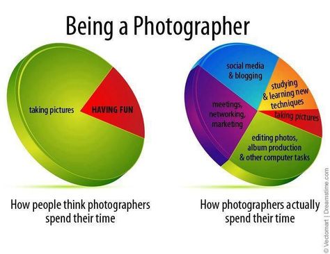 What #Photographers really do all day. Photographer Meme, Photography Jokes, Photography Facts, Photographer Quotes, Photographer Humor, Tshirt Photography, Photography Store, Quotes About Photography, Learning Techniques