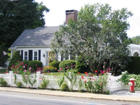 Cottage Garden Design Front Yard White Picket Fences, Picket Fence Ideas Front Yard, White Picket Fence Front Yard, White Picket Fence House, White Picket Fence Garden, Fence And Flowers, Picket Fence Ideas, Picket Fence Garden, Updated Victorian