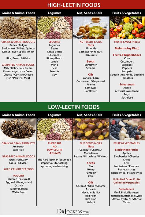 Low Lectin Foods, Lectin Free Foods, Food Essentials, Plant Paradox Diet, Lectin Free Diet, Dr Gundry, Different Foods, Lectin Free, Plant Paradox