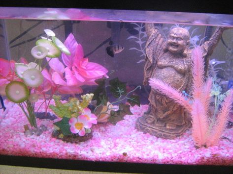 Fish Tank Bed, Glofish Tank, Cool Fish Tank Decorations, Kawaii Fish, Fish Tank Themes, Fish Tank Terrarium, Cool Fish Tanks, Fish Tank Design, Pretty Fish