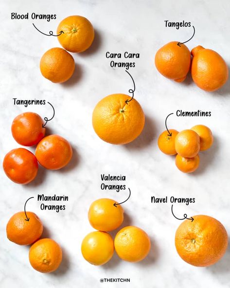 11 Types of Oranges (and How to Use Them!) | The Kitchn Types Of Oranges, Navel Oranges, Valencia Orange, Winter Fruit, Orange Rind, Grey Tea, Simply Recipes, Orange Tree, Food Facts