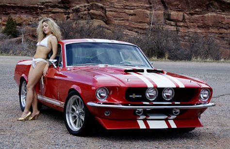 Hot Shelby Huh! Wilson Pickett, Mustang Sally, Super Snake, Station Service, Classic Mustang, Mustang Fastback, Rhythm And Blues, Suzuki Swift, Mustang Shelby