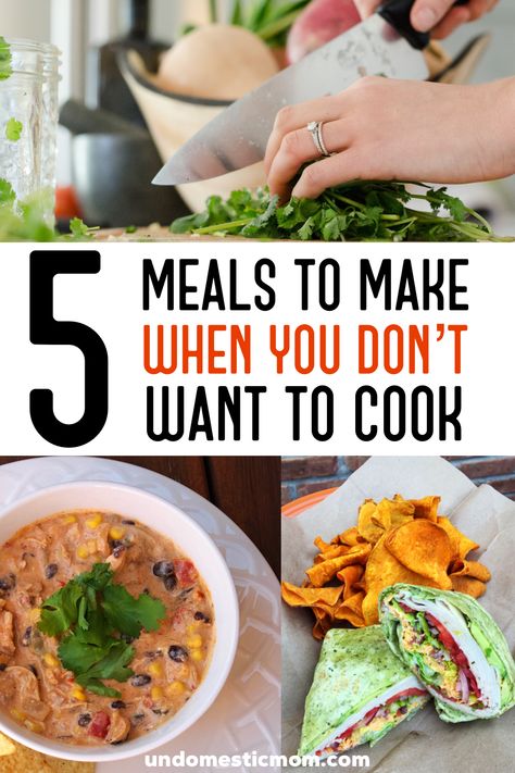 5 Meals to Make When You don't Want To Cook Meals To Make For Dinner, Lazy Food, Cold Lunch, Worst Cooks, Lazy Dinners, Quick Lunch Recipes, Fast Cooking, Cook Meals, Budget Cooking