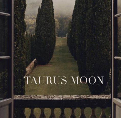 Taurus Moon Aesthetic, Horoscope Aesthetic, Photocards Aesthetic, Aesthetic Journals, Jupiter Sign, Saturn Sign, Taurus Girl, Astrology Aesthetic, Libra And Taurus