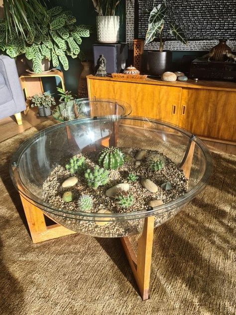 43 Amazing Plant Table Ideas - 268 Coffee Table With Plants, Coffee Table Cool, Coffee Table With Plants Inside, Cactus House Design, Crazy Coffee Table, Plant On Coffee Table, Coffee Table Funky, Terrarium Table Diy, Funky Coffee Table Diy