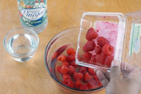 How to Store Fresh Raspberries | LEAFtv How To Preserve Raspberries, How To Store Raspberries In Fridge, Storing Raspberries In Fridge, Cleaning Raspberries, Food Preserving, Fruit Preserves, Fresh Raspberries, Fruit Dishes, Processed Meat