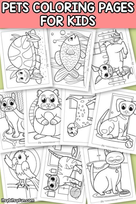 Pets Coloring Pages for Kids. 10 free coloring pages with pet animals. #coloringsheets #freecoloring Pet Art Projects For Kids Preschool, Pets Coloring Pages Free Printable, Preschool Pets Activities, Pets Preschool Theme Free Printables, Pets Unit Preschool, Pets Kindergarten Activities, Pet Unit Preschool, Pet Art For Toddlers, Pets Preschool Theme Crafts