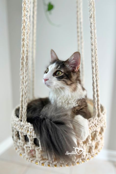 Boho Bliss Hanging Crochet Cat Bed made with chunky yarn and macrame cord. Perfect DIY project for a cozy, free, and easy cat bed. Crochet Cat Bed Pattern, Diy Crochet Cat Bed, Cat Bed Pattern, Hanging Cat Bed, Crochet Hammock, Cat Teepee, Crochet Cat Bed, C2c Crochet Pattern Free, Hanging Crochet