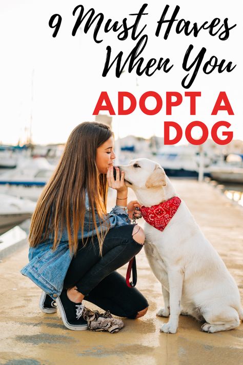 Dog Adoption Announcement, Adopting A Dog, New Puppy Checklist, Rescue Puppies, Dog Essentials, Dog List, Crazy Dog Lady, Adopt A Dog, Dog Facts