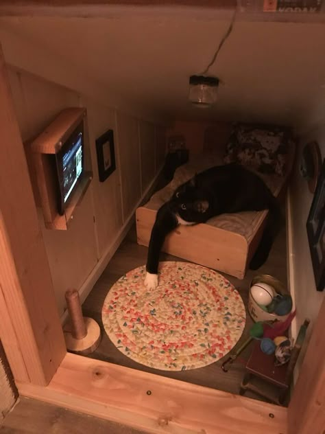 Guy Transforms Empty Space Behind Wall Into Tiny Bedroom For His Cat, Makes Other Cat Parents Feel Bad About Themselves Handsome Cat, Cat Bedroom, Cat Parents, Tiny Furniture, Miniature Rooms, Cat Parenting, Empty Spaces, Tiny Bedroom, Cat Room