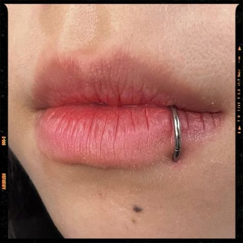 Lip Piercing Persing Lips, Labret Piercing Ring, Lip Piercing Ring, Snake Bite Piercing, Piercing Inspiration, Lip Piercing Jewelry, Face Piercings, Cool Piercings, Airbrush App