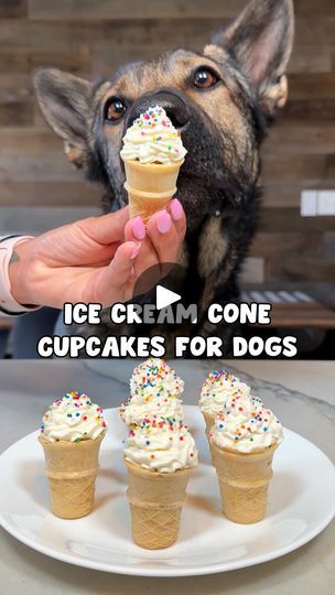 Cupcakes For Dogs, Cupcakes For Dogs Recipe, Dog Ice Cream Recipe, Recipe Ice Cream, Cone Cupcakes, Ice Cream Cone Cupcakes, Cannoli Recipe, Mini Ice Cream Cones, Doggy Treats