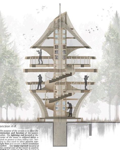 Amazing section THENEST - Tower Section for Pape Bird Watching Tower Competition in Latvia, Europe Group members: @ayed_alyahya @ash_hdr… Watch Tower Architecture, Tower Section, Bird Watching Tower, Plan Concept Architecture, Viewing Tower, Tower Architecture, Observation Tower, Architecture Elevation, Plans Architecture