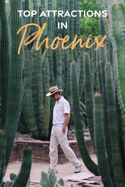 Planning a visit to the Greater Phoenix area in 2023? Here's our top attractions bucket list, including restaurants, nightlife, and outdoor activities! Phoenix Attractions, Taliesin West, Old Town Scottsdale, Desert Botanical Garden, Camelback Mountain, Arizona Travel, Botanical Garden, Phoenix Az, Old Town