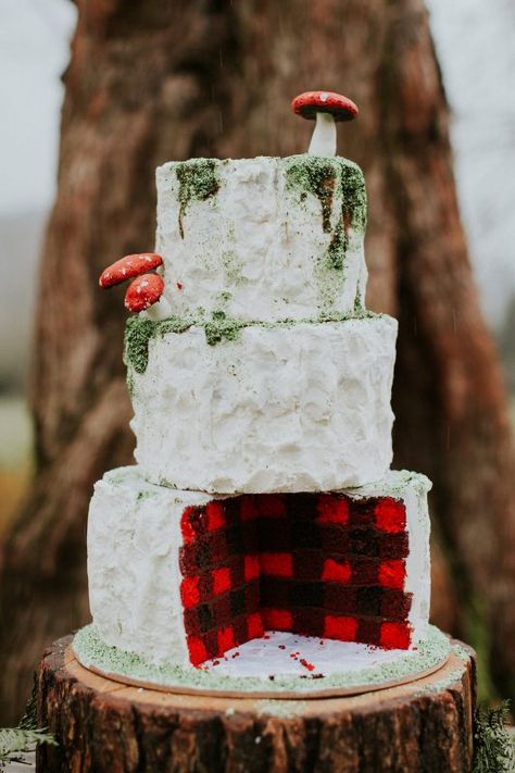 Plaid Lumberjack Wedding Cake Red And Black Cake, Lumberjack Wedding, Winter Wedding Food, Plaid Cake, Forest Shoot, Lumberjack Cake, Crazy Wedding Cakes, Dreamy Forest, Plaid Wedding