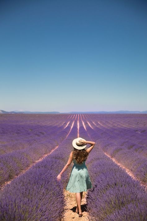 Lavender fields in Provence, France Lavender Field, Voyage Europe, Adventure Is Out There, Provence France, Trik Fotografi, Lavender Fields, Dundee, Lavender Flowers, Travel Goals