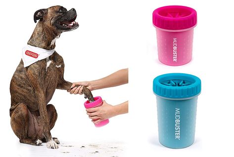 Dog Paw Cleaner, Accessories For Dogs, Muddy Dog, Pet Smell, Tiktok Famous, Paw Cleaner, How To Clean Suede, Food Dog, Muddy Paws