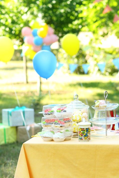 Simple Outdoor Party Ideas, Birthday In Park Decorations, Outdoor Park Birthday Party Picnic Ideas, Playground Party Decorations, Park Brunch Party, First Birthday Picnic In The Park, 1st Birthday Picnic In The Park, Public Park Birthday Party, Outside Park Birthday Party Ideas