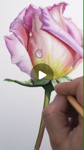 Watercolor Of Flowers, Watercolor Roses Painting, Watercolor Art Realistic, Water Painting Flowers, Watercolor Rose Tutorial, Flower Drawing Watercolor, Rose Painting Tutorial, Flowers Watercolor Paintings, Rose Art Painting