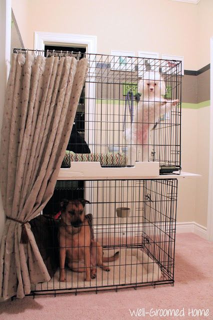 What to do when you have two dog crates...stack and secure them using a sheet of plywood! Stacked Dog Kennels, Puppy Set Up Ideas Dog Crates, Stack Dog Kennels, Stacking Dog Crates, Two Dog Crates Together, Dog Bedrooms, Triple Dog Crate, Making Dog Crates Cute, Cute Crates For Dogs