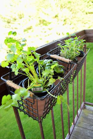 DIY patio or balcony railing herb garden, part of my apartment patio makeover. Apartment Herb Gardens, Balcony Railing Planters, Balcony Herb Gardens, Patio Herb Garden, Patio Railing, Apartment Balcony Garden, Diy Balcony, Balcony Planters, Hanging Herbs