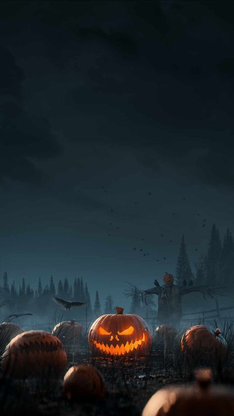 Pumpkin Halloween Night IPhone Wallpaper - IPhone Wallpapers : iPhone Wallpapers Night Iphone Wallpaper, Halloween Iphone Wallpaper, Halloween Invitaciones, Moonlight Photography, Disney Iphone, Ipad Wallpapers, Whatsapp Wallpaper, Iphone Wallpaper Images, Halloween Wallpaper Iphone