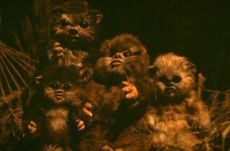 baby ewoks Ewok Baby, Star Wars History, Star Wars Planets, Star Wars Canon, Star Wars Background, Star Wars Film, Star Wars Movie, Star Wars Episodes, Star Wars Universe