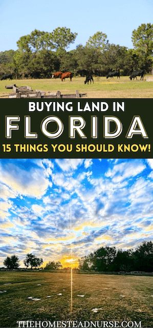 Florida Homesteading, Homesteading In Florida, Florida Farm, Buying Land, Buy Land Cheap, Homestead Land, Panhandle Florida, Cheap Land For Sale, Homestead Florida