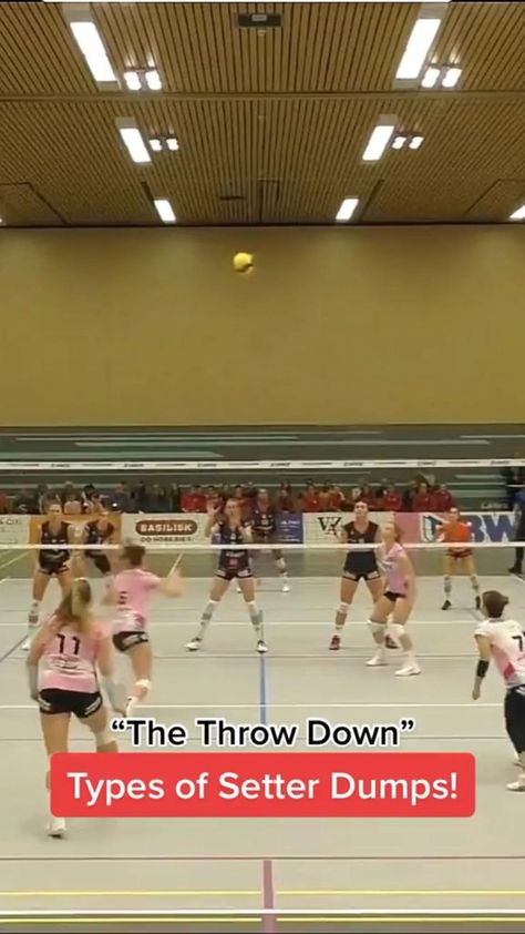 Best Volleyball Plays, Volleyball Setter Drills, Setter Drills, Volleyball Saves, Volleyball Tiktoks, Setter Volleyball, Volleyball Plays, Workouts Volleyball, Volleyball Jokes