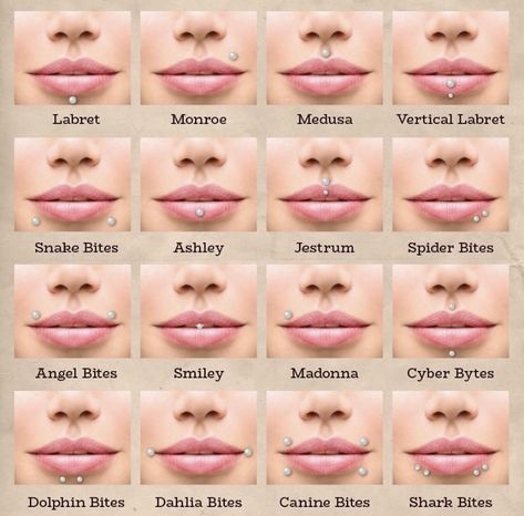 Different Kinds Of Piercings, Peircings Name Chart, Piercing Names, Piercing Chart, Lip Piercing, Art References, Art Reference, Piercings, Sketch Book