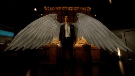 via GIPHY Lucifer With Wings, Lucifer Morningstar Wings, Lucifer Wings, Lucifer Gif, Chloe Decker, Tom Ellis Lucifer, The Fallen Angel, Lauren German, Lucifer Morningstar