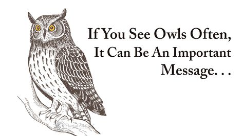 Owl Spirit Animal Meaning, Owl Sayings, Owl Feather Tattoos, Owl Tattoo Meaning, Owl Symbolism, Animal Symbols, Pain Chart, Owl Quotes, Writer Life