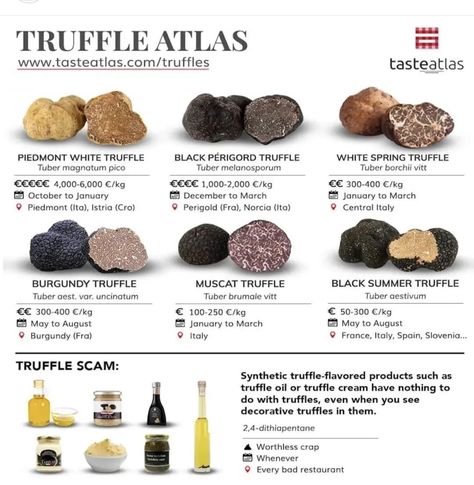 Growing Truffles, Growing Mushrooms At Home, Summer Truffle, Truffle Mushroom, Culinary Cooking, Luxury Food, Truffle Oil, Truffle Recipe, White Truffle