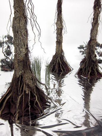 DIY swamp trees & plastic that looks like water. This is a really cool tutorial. I must try this! Swamp Trees, Swamp Halloween, Bayou Halloween, Swamp Decor, Haunted Swamp, Voodoo Swamp, Swamp Party, Cyprus Trees, Swamp Theme