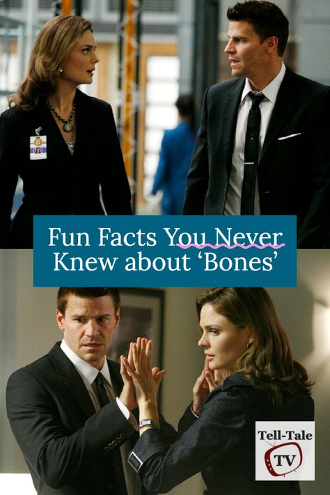 Emily Deschanel as Temperance Brennan, David Boreanaz as Seely Booth, hands touching, fun facts you never knew about Bones in text. Bones Quotes Tv Show, David Boreanaz And Emily Deschanel, Booth Bones David Boreanaz, Bones Tv Show Tattoo Ideas, Booth X Bones, Sealy Booth, Bones Tv Show Tattoo, Emily Deschanel And David Boreanaz, Bones Tv Show Funny