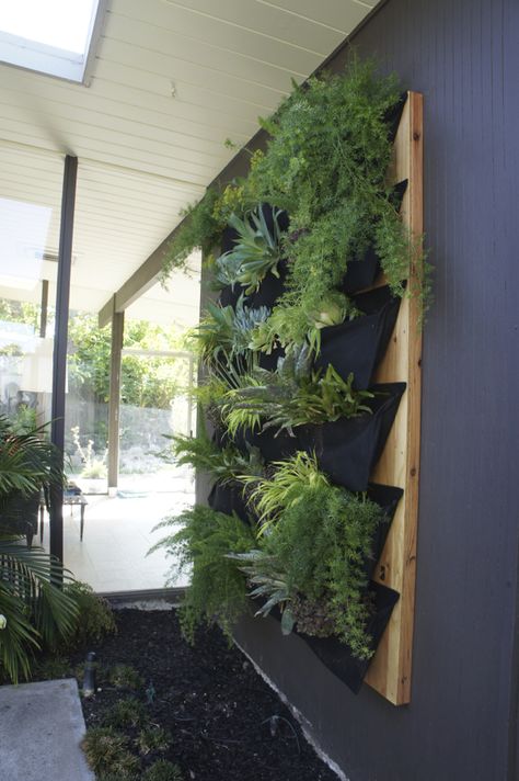 DIY living wall via @Karolina Büchner Plant Wall Decor Outdoor, Ikea Living Wall, Living Wall Planter Outdoor, How To Make A Living Wall Outdoors, Diy Green Wall Outdoors, Green Living Wall Indoor, Living Wall Outdoor Diy, Outdoor Living Wall Diy Vertical Gardens, Diy Living Wall Outdoor