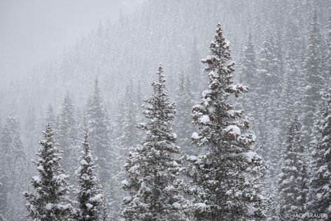 San Juan Mountains Colorado, Mountains Colorado, Snow In Summer, Snow Pictures, San Juan Mountains, Snowy Forest, Print Display, Mountain Photography, Summer Friends