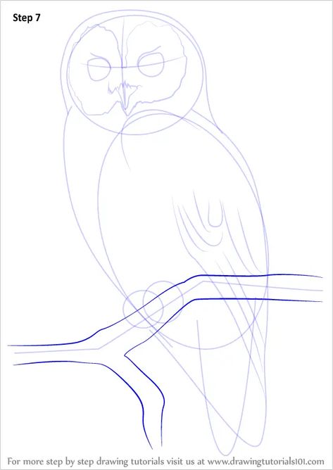 Learn How to Draw a Tawny Owl (Owls) Step by Step : Drawing Tutorials Owl Drawing Simple, Owl Sketch, Owl Drawing, Animal Tarot, Magic Runes, Tawny Owl, Owls Drawing, Learn Drawing, Tangle Art