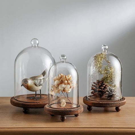 Bell Jar Decor, Glass Cloche Decor, Cloche Display, Spring Mantle Decor, Cloche Decor, Glass Dome Cloche, Glass Bell Jar, Jar Display, Cloche Domes