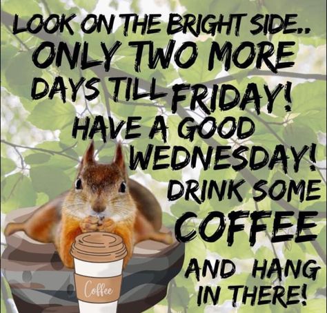 Happy Wednesday 😃💕 (From Coffee Memes and Quotes) Funny Coffee Quotes Mornings, Morning Coffee Funny, Wednesday Coffee, Coffee Quotes Morning, Wednesday Humor, Monday Coffee, Coffee Meme, Good Wednesday, Funny Coffee Quotes