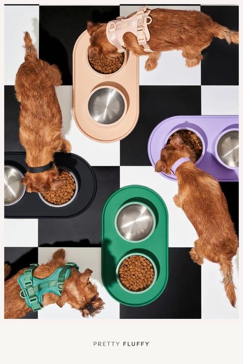 Find dog bowls that match your kitchen aesthetic at the Dog Lovers Directory, brought to you by the team behind Pretty Fluffy. From ceramic dog bowls to elevated dog bowls, dog bowl stands to chic dog placemats, you’ll love shopping our featured brands for all your dog’s dining essentials. Treat your pup to the latest in dog bowls and trending dog food accessories while supporting a small pet business. Save this pin for later to shop the best dog bowl brands for your pooch! Pet Store Design, Under Armour Sneakers, Iced Tea Maker, Dog Trends, Clean And Delicious, Elevated Dog Bowls, Ceramic Dog Bowl, Dog Food Bowls, Pet Businesses