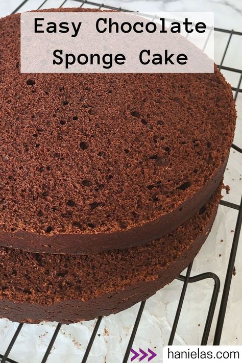 Sliced chocolate cake on a cooling rack. Sponge Recipe, 8 Inch Cake, Chocolate Sponge Cake, Best Carrot Cake, Sponge Cake Recipes, Chocolate Sponge, A Picnic, Easy Chocolate, Chocolate Cake Recipe