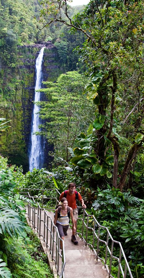 Akaka Falls, Luxury Coastal, Magic Places, Dream Honeymoon, Kona Hawaii, Big Island Of Hawaii, Island Of Hawaii, Hawaiian Vacation, Coastal Life