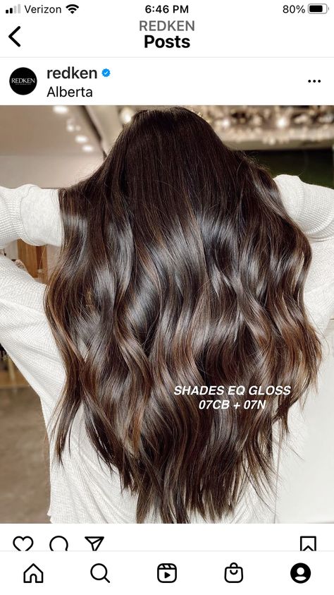 Brassy Hair, Redken Hair Color, Redken Hair Products, Color Balayage, Brown Hair Inspo, Hair Toner, Hair Color Formulas, Hair Techniques, Brown Hair Balayage