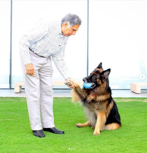 Ratan Tata Wishes His German Shepherd on Its 14th Birth Anniversary on Instagram Tata Family, Tata Young, Ratan Tata Quotes, Ratan Tata, Corporate Culture, Animal Projects, Animal Hospital, My Photo Gallery, Success Stories