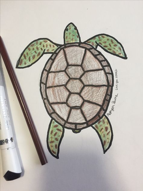 Sea Turtle Drawing by Maryann Burns, done with black Conda Twin Tip Markers, and Crayola Colored Pencils Sea Turtles Drawing, Turtle Drawing Tutorial, Turtle Drawing Color Pencil, Sea Turtle Drawing Colored Pencil, Sea Turtle Cartoon Drawing, Colored Pencil Sea Animals, Land Turtle Drawing, Turtle In Ocean Drawing, Sea Turtle Drawing