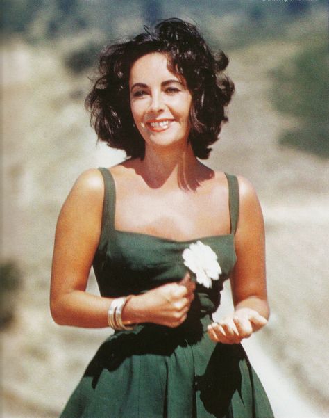 Love her hair. Elizabeth Taylor Style, Edward Wilding, Bridget Bardot, Mario Testino, Actrices Hollywood, Sophia Loren, Elizabeth Taylor, Brigitte Bardot, Fashion Icon