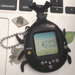 Beetle Tamagotchi, Objects Aesthetic, Cool Objects, Cool Bugs, Photographie Portrait Inspiration, Virtual Pet, Poses References, Ex Machina, Beetles